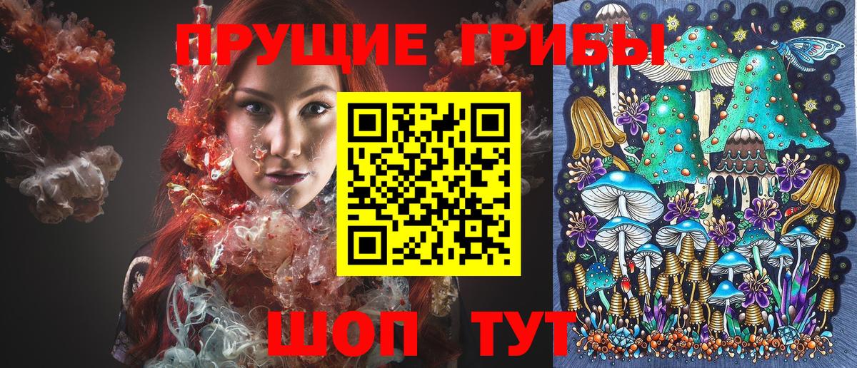 Псилоцибиновые грибы прущие грибы Санкт-Петербург