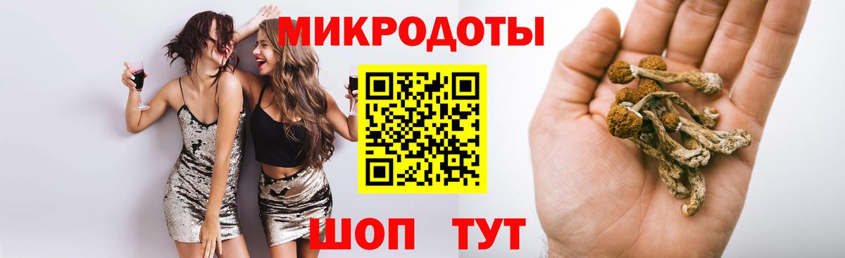 Санкт-Петербург  Псилоцибиновые грибы MAGIC MUSHROOMS  Псилоцибиновые грибы Psilocybine cubensis  Вход с VPN 